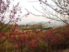 -宝山国家矿山公园售票处