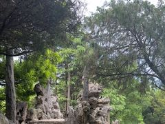 -泰州凤城河风景区-泰山公园