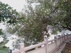 -广州国际生物岛