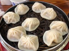 -十里铺铁板鱿鱼