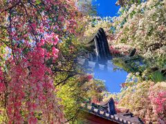 -深圳国际园林花卉博览园