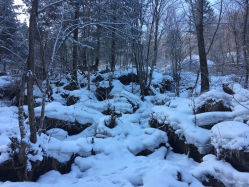 -大秃顶子山