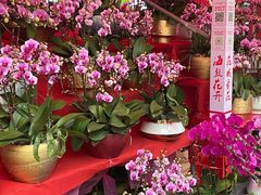-光明广场