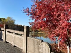 -梁鸿国家湿地公园