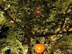 -唐城墙遗址公园