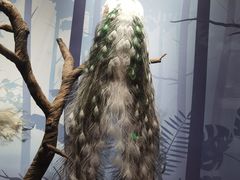 -陕西自然博物馆