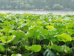 -苏堤停车场