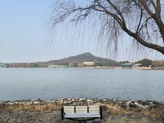 -上海月湖雕塑公园