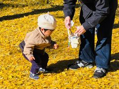 -医王山·飞騨国分寺