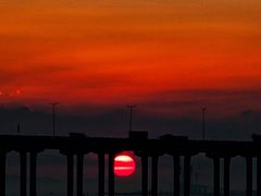 -宝安西湾红树林湿地公园