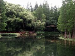 -上海滨江森林公园