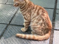 -终南山南五台景区