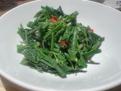 木姜子拌丝瓜尖-一坐一忘云南菜(三里屯店)