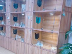 -猫十亿·布偶金渐层·曼基康矮脚猫舍(青年路店)