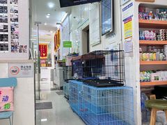 -瑞鹏宠物医院·微创内窥镜·骨外科·牙科(翠竹分院)