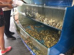 -蟹谢蒸鲜自助餐厅