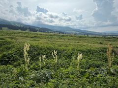 -新疆那拉提国家旅游度假区