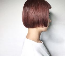 -SALON V