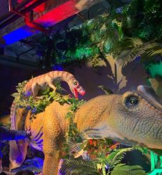 -恐龙探索乐园(磁器口店)