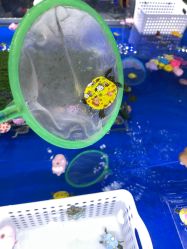 -孩子王(铁西万达店)