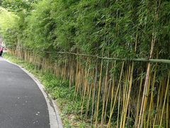 -莹珠阁·私房菜