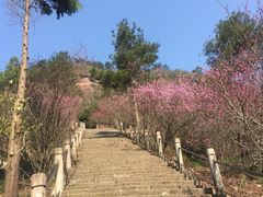 -天台山赤城山景区