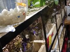 -小草大排档(北沙坡店)