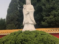 -上海九天陵园-停车场