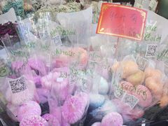 -溪岸路花鸟市场