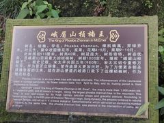 -峨眉山风景名胜区