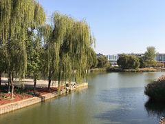 -大兴滨河森林公园