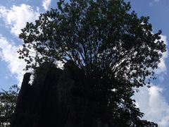-玉石林风景区