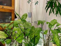 -绿小院(荔湾店)