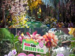 -正佳雨林生态植物园