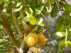 -澳门圣地牙哥古堡酒店