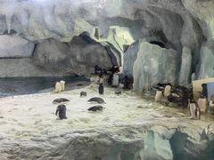 -珠海长隆海洋王国