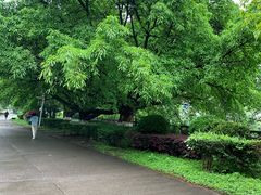 -四川农业大学(雅安校区)