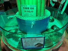 -年辉渔村