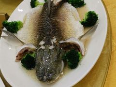 顺德无姜皖鱼-强记烧鸡(信业悦都汇店)