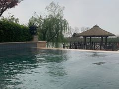 -苏州湾·王焰温泉