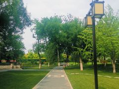 -西海子公园