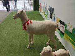 -上膳源有机农场