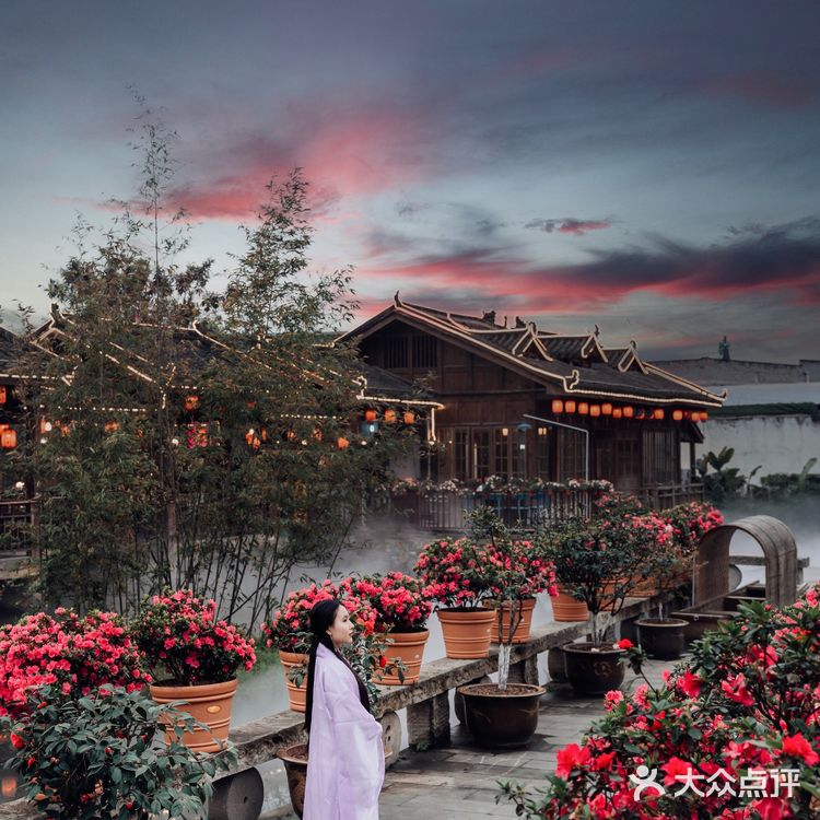 重庆小众拍照地｜隐藏在南山上的花海火锅公园