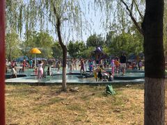 -永定河休闲森林公园