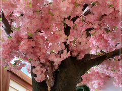 -活鳗饭·鹅肝范儿(高碑店店)