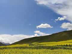 -扁都口生态休闲旅游区