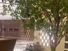 -静耳元気采耳·按摩·SPA(万象前海店)