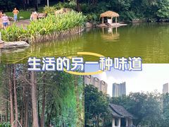 -广州珠江公园