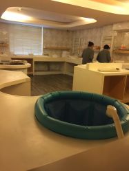 -知爱母婴专护全套房月子会所(新华路店)