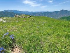 -灵山